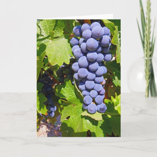 Carte Raisins de vignoble (Devant)