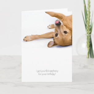 Carte Rasberry Dog