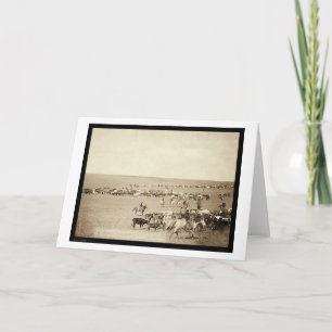 Carte Rassemblement de cowboy à l'écart-type 1887 de
