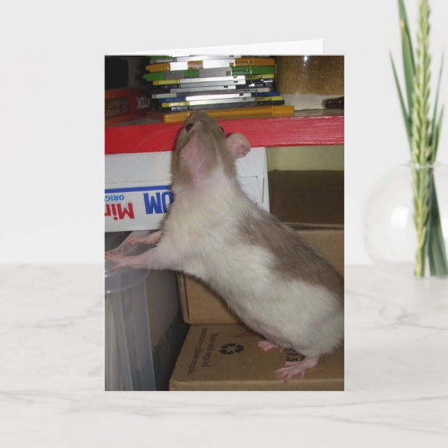 Carte Rat d'ordinateur (Devant)