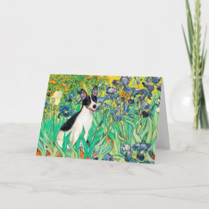 Carte Rat Terrier - Irises