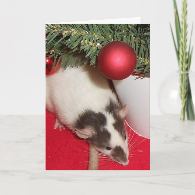 Carte : Rats de Noël (Devant)