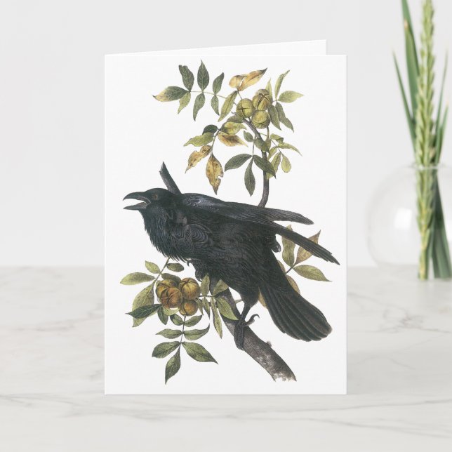 Carte Raven commun, audubon de John (Devant)