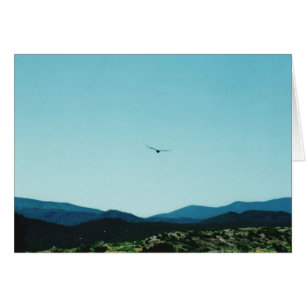 Carte Raven Mountains