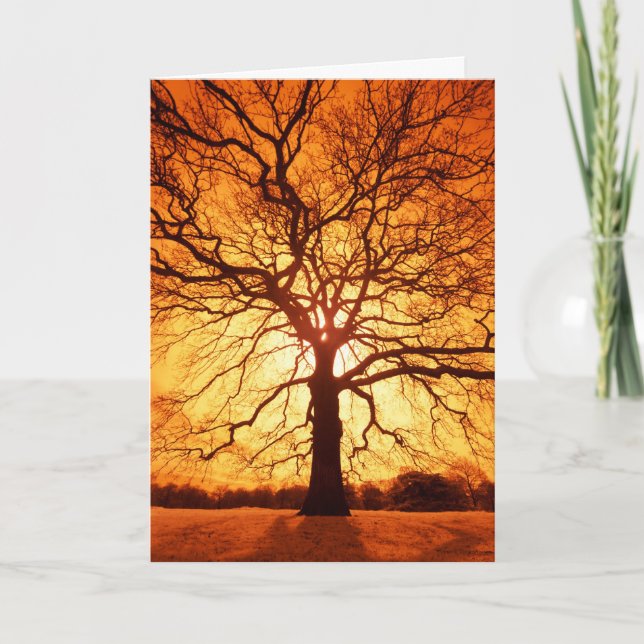 Carte Rayon de soleil (Devant)