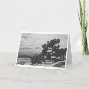 CARTE "RECHERCHE ALBUQUERQUE"