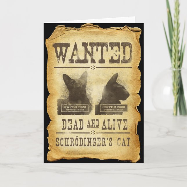 Carte Recherché mort et vivant. Le chat de Schroedinger. (Devant)