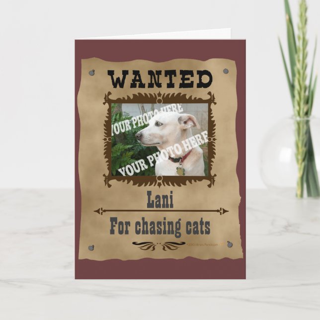 Carte Recherché Wild West Poster Animaux de compagnie Mo (Devant)