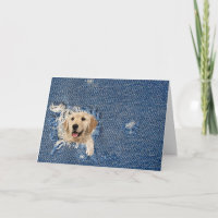 Récupération dorée dans le trou de denim