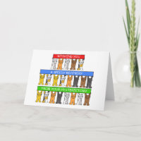 Récupération Rapide De L'Hystérectomie Cute Cats