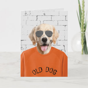 Carte récupératrice d'or d'anniversaire en t-shirt orang