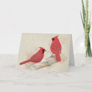 Carte Red Cardinals