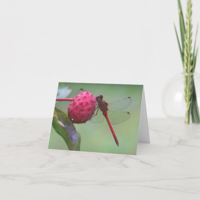 Carte Red Dragonfly Nature Photography Note (Devant)