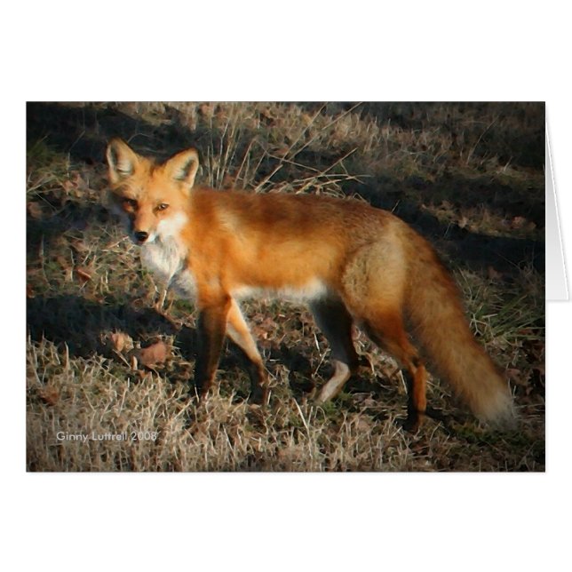 Carte Red Fox (Devant horizontal)