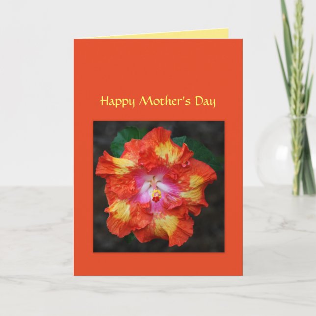 Carte Red Hot Hibiscus Mother's Day Card (Devant)
