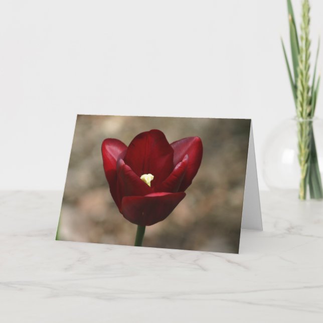 Carte Red Tulip (Devant)