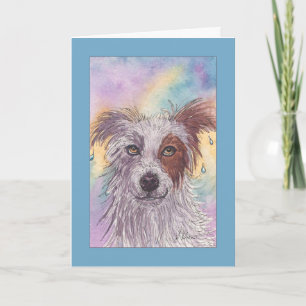 Carte Red & White Border Collie, Dripping Wet, Blank