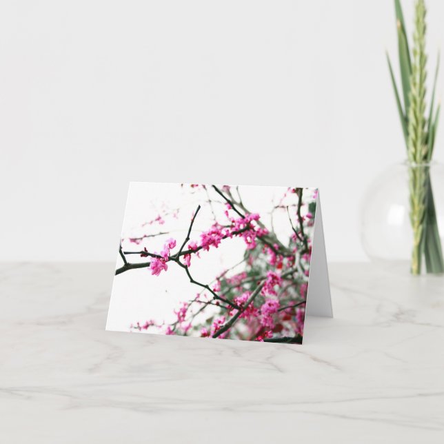 Carte Redbud oriental (Devant)