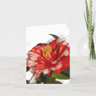 Carte redwhitecam