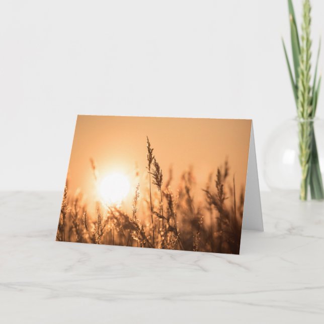 Carte Reed Sunset Nature Photo (Devant)