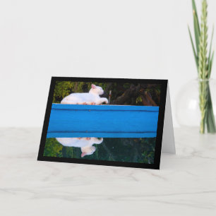 Carte Reflet d'un chat blanc