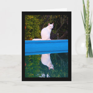 Carte Reflet d'un portrait de chat blanc