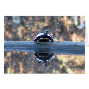 Carte Réflexion de tortue