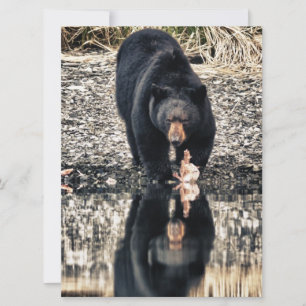 Carte Réflexions de l'ours noir