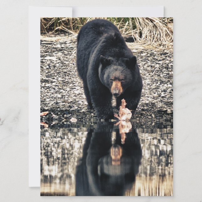 Carte Réflexions de l'ours noir (Devant)