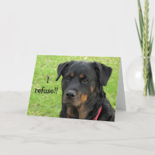 Carte Refuser Rottweiler Get Well Card