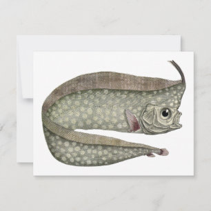 Carte Régalec à crête, Poisson, Vie marine aquatique vin