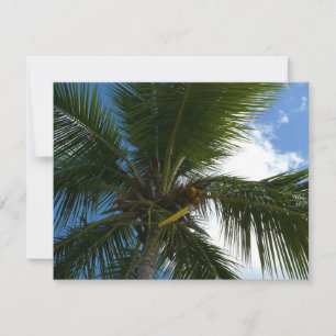 Carte Regard sur le palmier à coco Nature tropicale