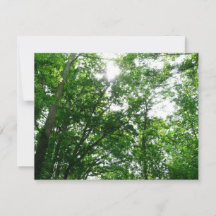 Carte Regard sur les arbres d'été