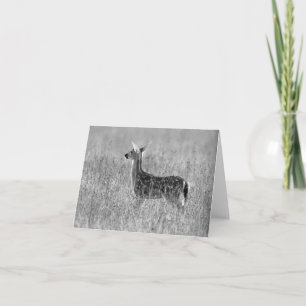Carte Regarder le faon fixement