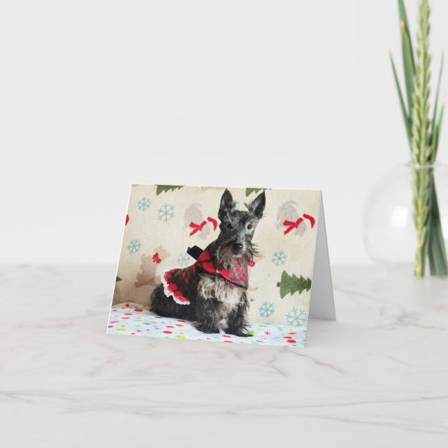 Carte Regarder pour Santa Paws (avec texte) (Devant)