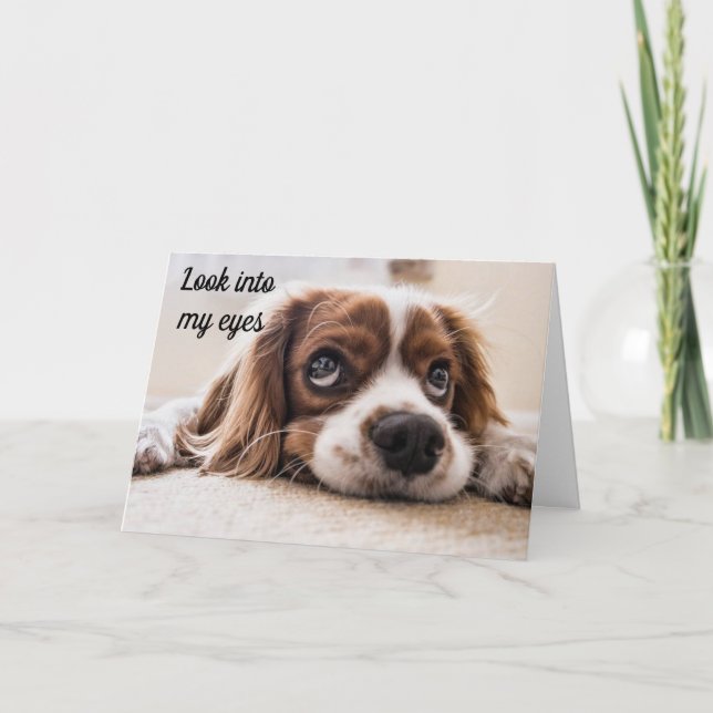 CARTE * REGARDEZ DANS MES YEUX* SOUHAITS D'ANNIVERSAIRE  (Devant)