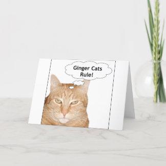 Carte Règle de chats de gingembre !