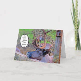Carte Reindeer's Caffeine Kicked In Card