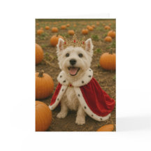 Reine Westie à Halloween