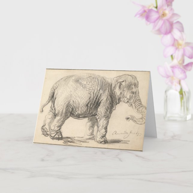 Carte Rembrandt, Un éléphant, 1637, Art (Orchidée)