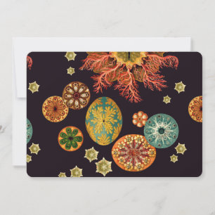 Carte Remix d'écureuils marins