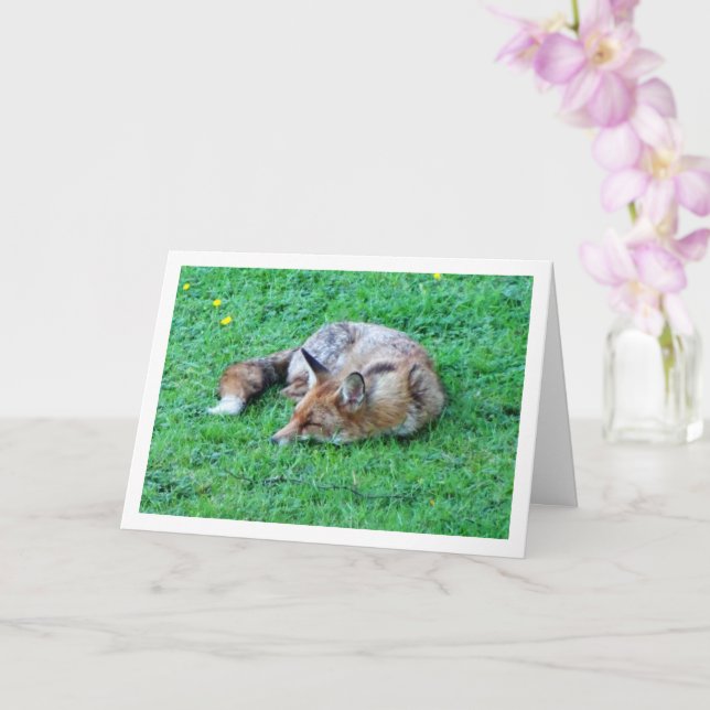 Carte Renard dormant sur l'herbe (Orchidée)