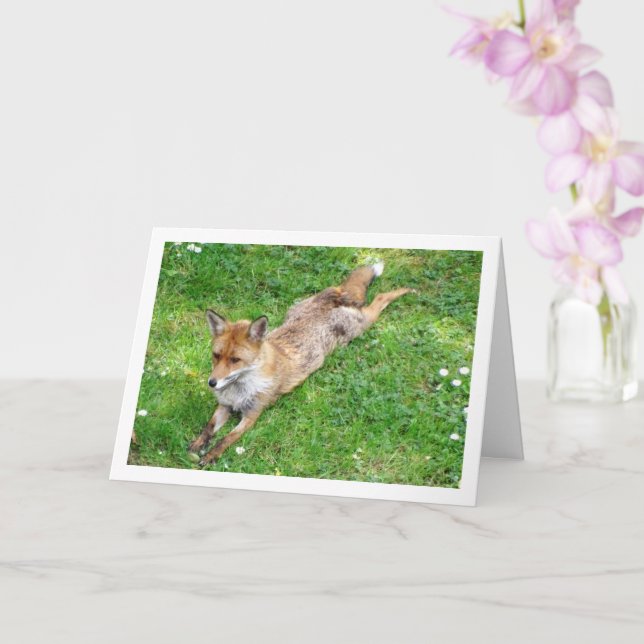 Carte Renard Étendu sur l'Herbe (Orchidée)