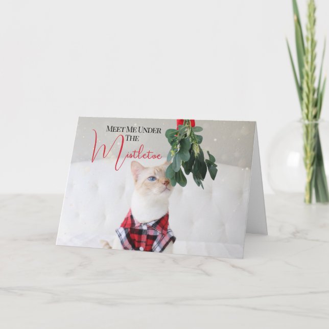 Carte Rencontrez-Moi Sous La Mistletoe Mignonne Chat Noë (Devant)
