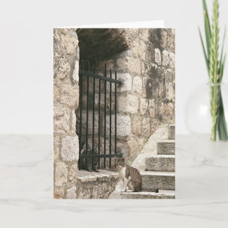 Carte "renflouement"