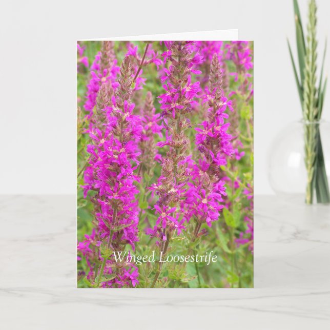 Carte Répandre Mes Ailes Et Voler : Félicitations (Devant)