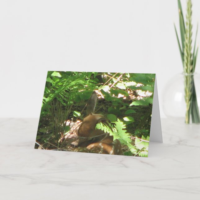 Carte Repose à découvert (Devant)