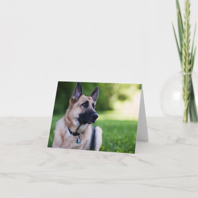 Carte Rescue Dog (Devant)