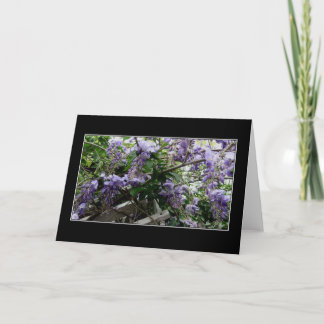 Carte "Ressort sauvage "