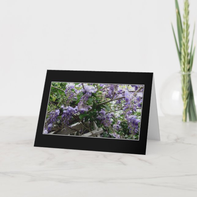 Carte "Ressort sauvage " (Devant)